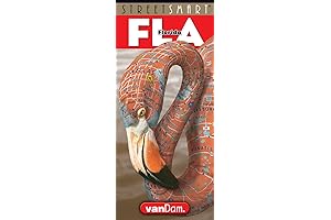VanDam StreetSmart Florida Map 2021