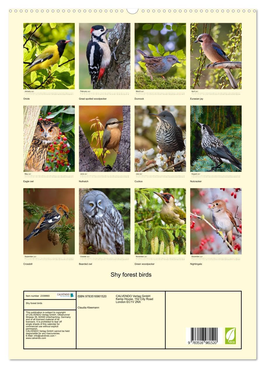 Shy forest birds (High Quality Premium Wall Calendar 2027 DIN A2 portrait),CALVENDO 12 Month Wall Calendar: Before you see them, you hear them