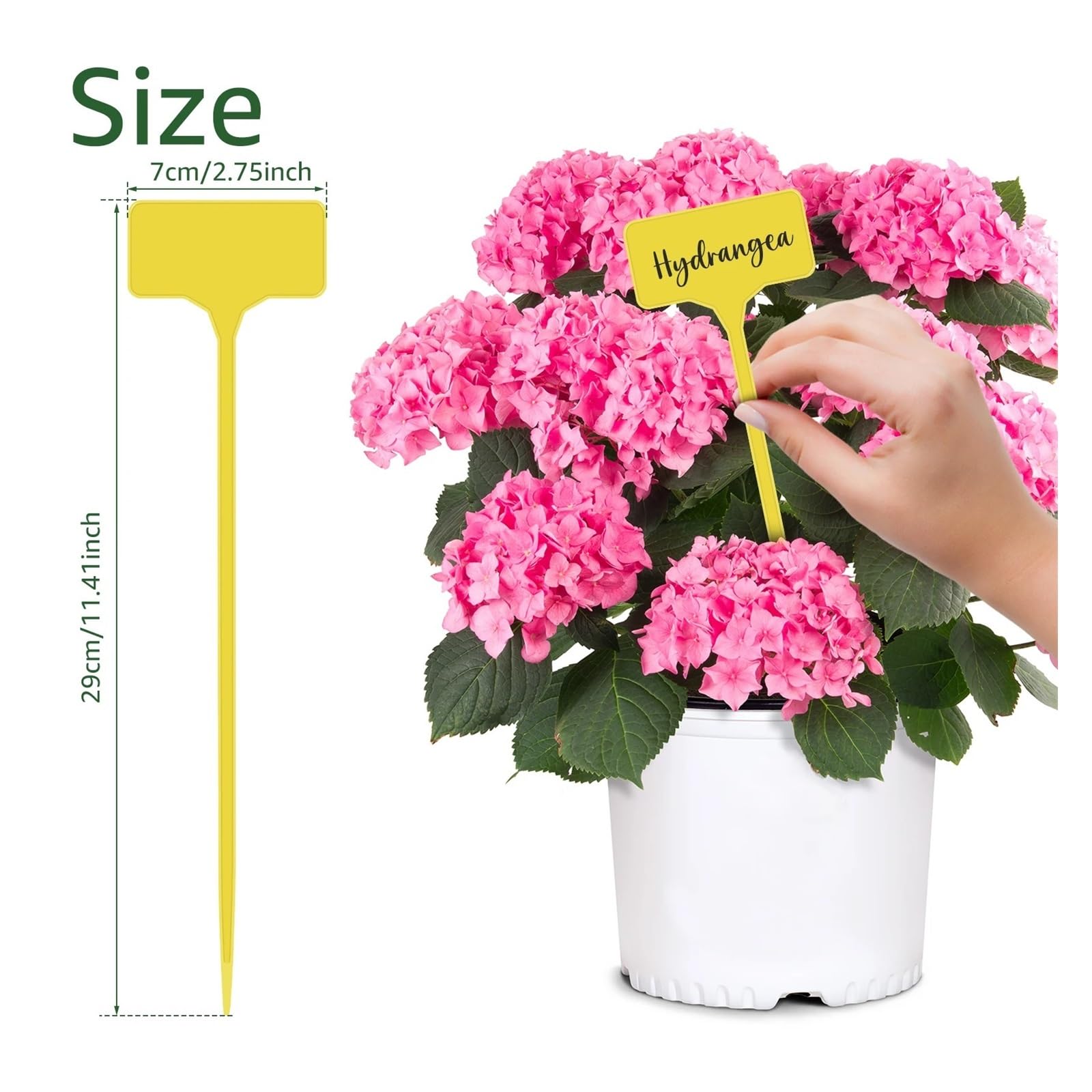 Etichette per Piante 50/100 Pezzi Etichette For Piante Da Giardino(Yellow 100PCS)