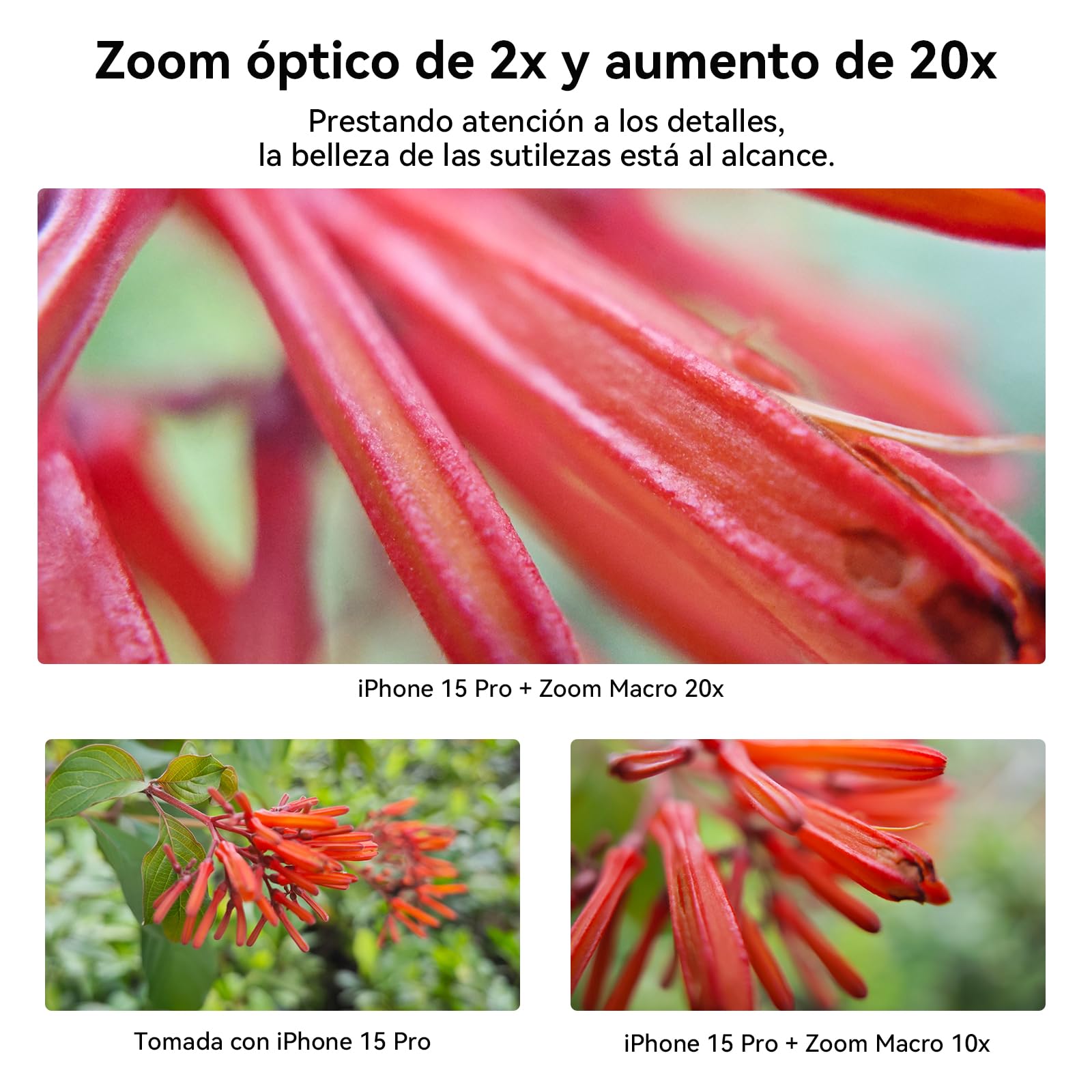 APEXEL Lente Macro para Móviles ZM100 Mejorada, Ultra HD, Apertura F1.05, Aumento Máximo de 20X, Lente Macro para Smartphones Compatible con la Mayoría de Teléfonos Móviles