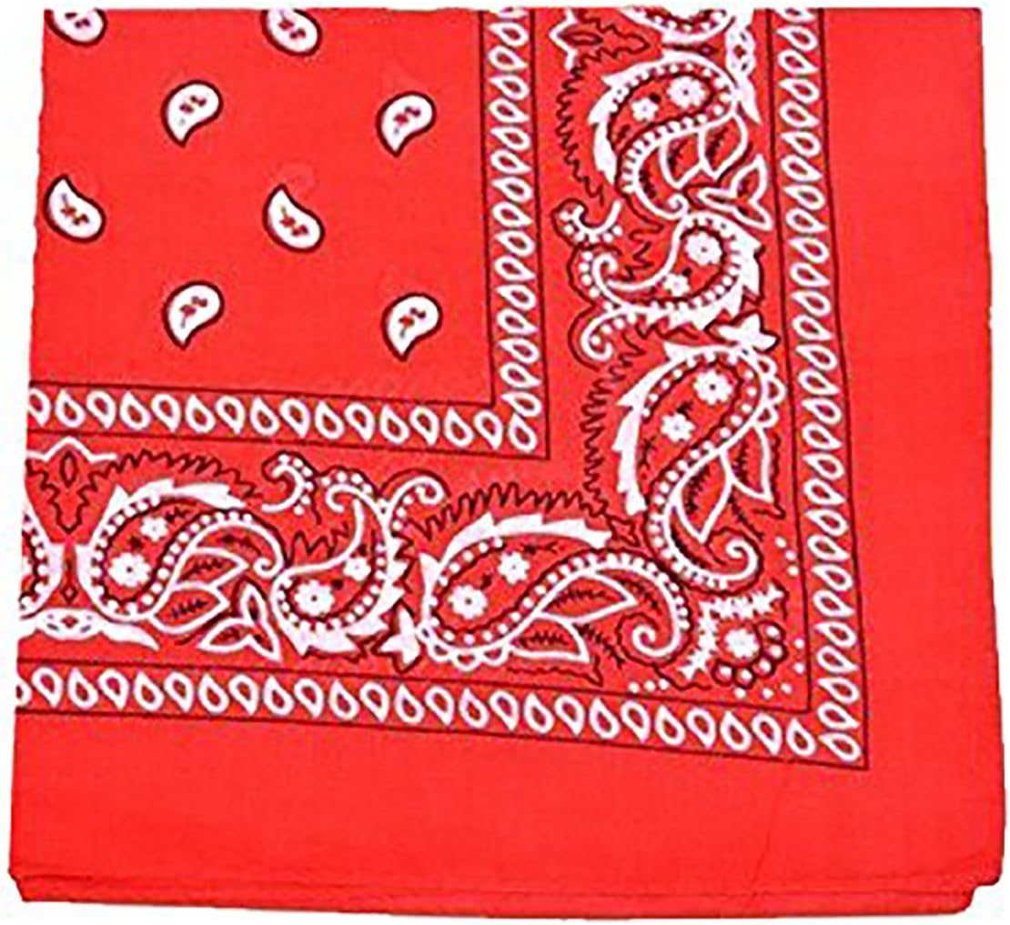 Pack of 30 Daily Basic 100% Polyester 22 x 22 Paisley Printed Bandanas