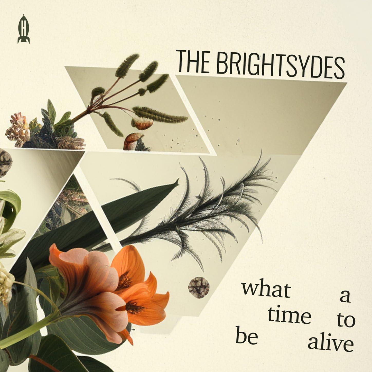 The Brightsydes