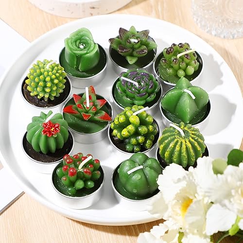 Miniatura 3 de 12 velas de cactus hechas a mano, delicadas velas de cactus suculentas para fiestas, bodas, spa, decoración del hogar, regalos