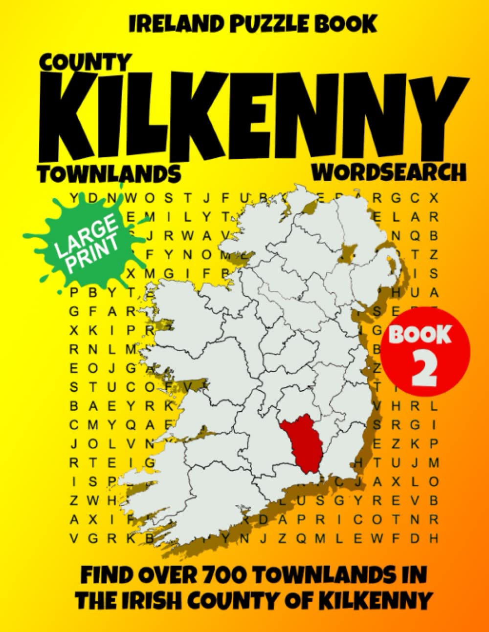 Ireland Puzzle Book County of Kilkenny Word Search (Book 2): Find over 700 Townlands in this beautiful Irish County. Large Print for Adults, Seniors and Lovers of Geography and History