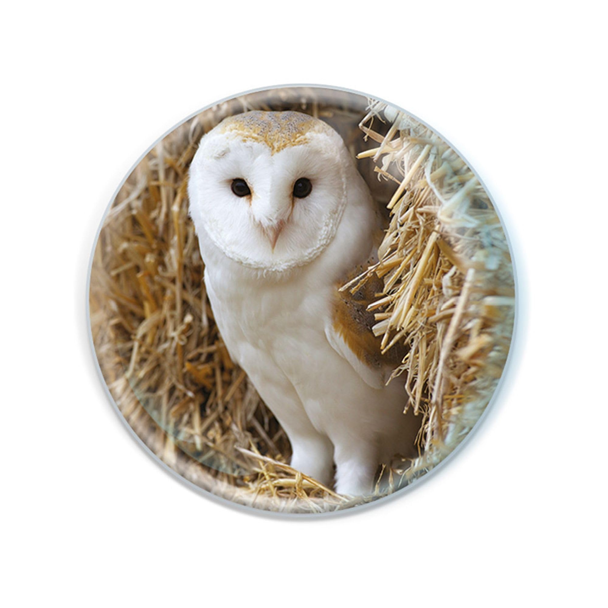 Deluxebase Owl Magnidome Fridge Magnet – Crystal Glass Dome Animal Magnets For Fridges, Decorative Strong Magnet For Kitchen Accessories, Novelty Gifts And Cute Home Decor.