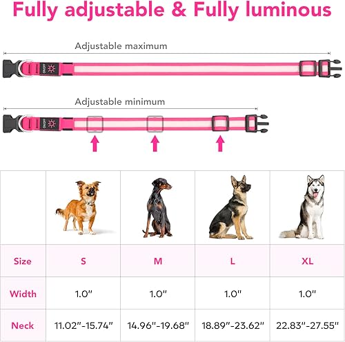 Miniatura 5 de Collar para perro con luz LED, ajustable, recargable por USB, superbrillante, luz de seguridad brillante para perros (XL, rosa)