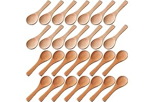 30 Pack Natural Mini Wooden Spoons for Condiments