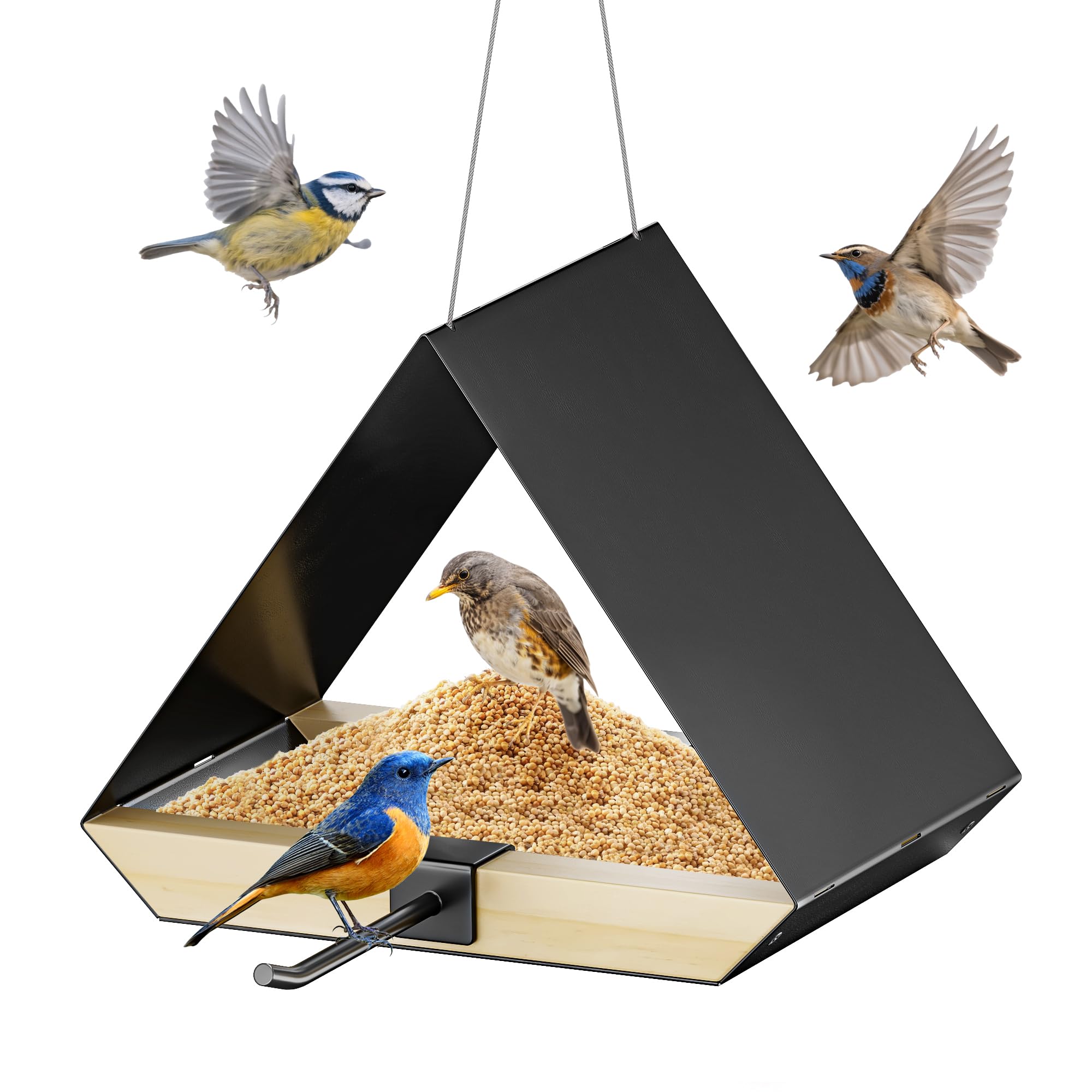 FANHAO Metal Roof Bird Feeder - Durable Outdoor Hanging, Metal Mesh Ventilated,Easy to Clean,Bird Watching Gift & Garden Decor for Cardinals, Bluebirds & Wild Birds,black