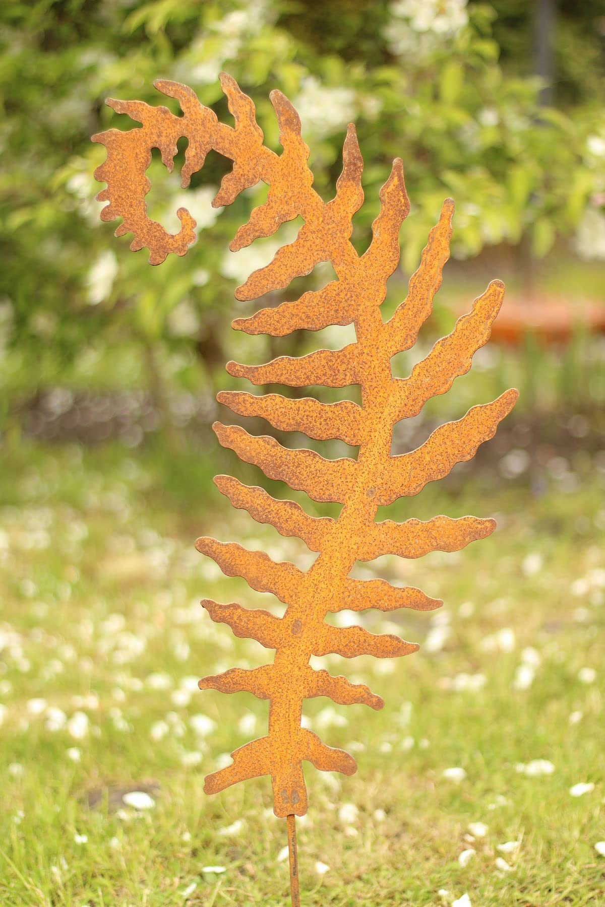 Manufaktur Lichtbogen 2er Set Rost Gartenstecker Farn 78 cm : Amazon.de:  Garten