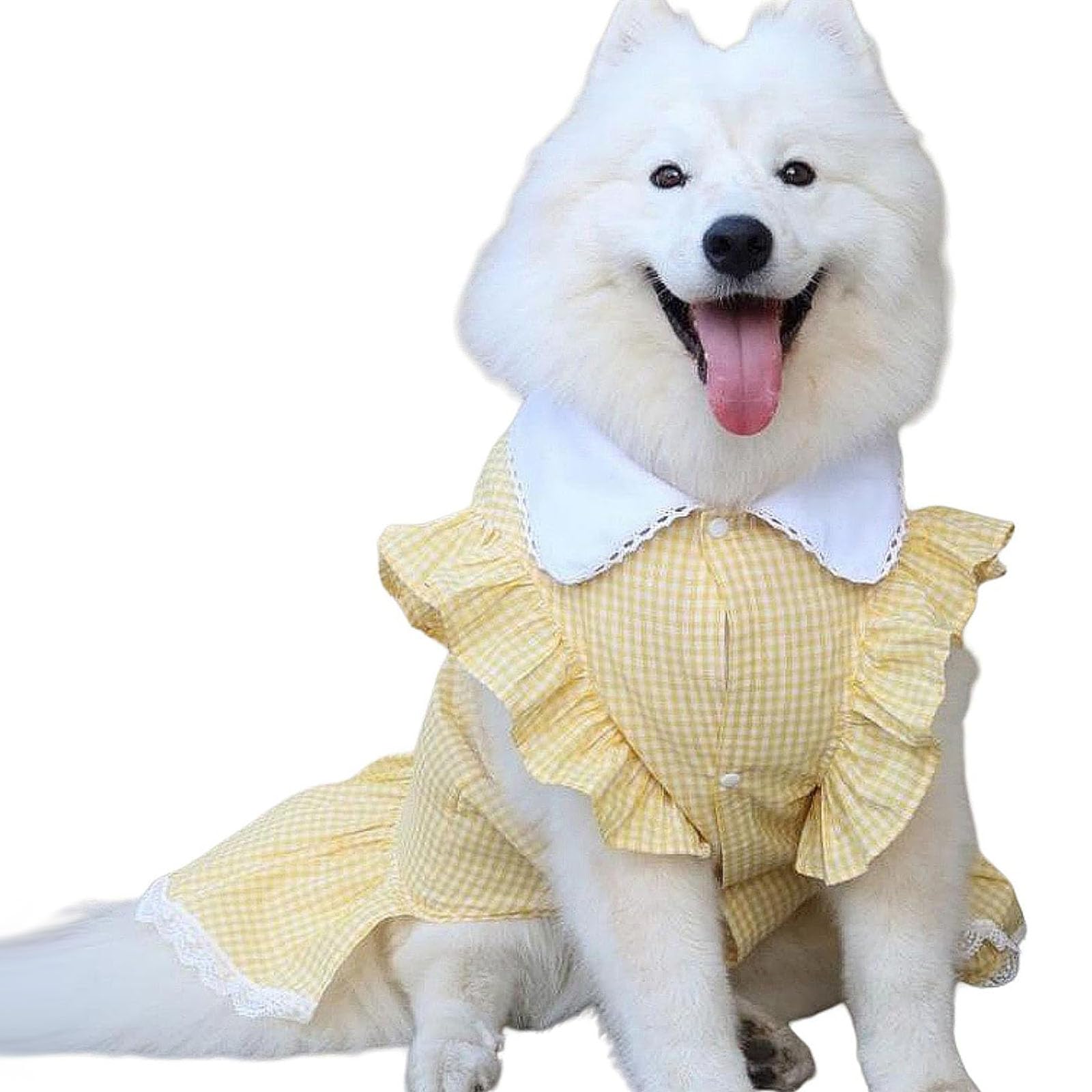 Robe princesse grand chien en coton doux et confortable