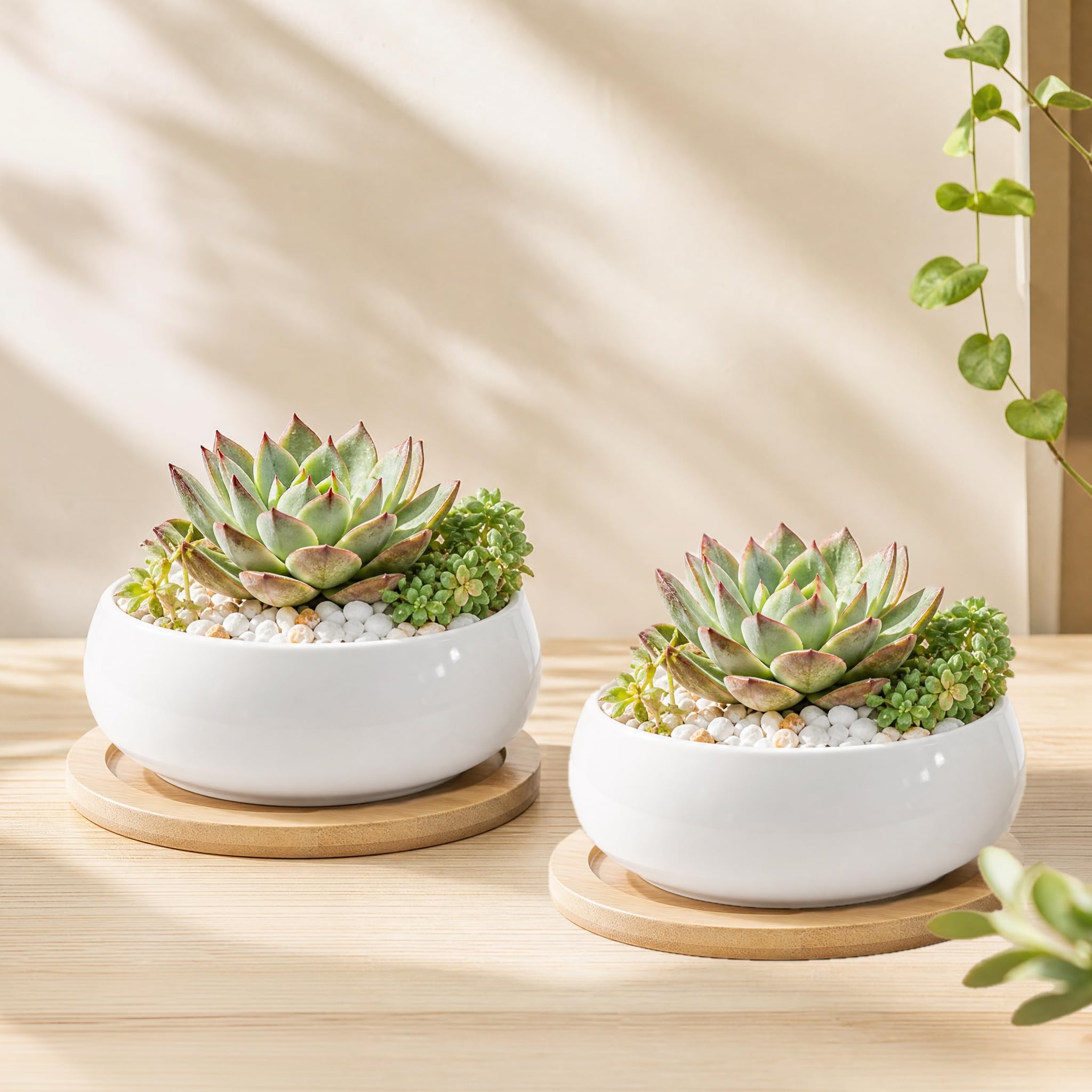 ZOUTOG 2 doniczki na sukulenty, 15 cm ceramiczne doniczki do roślin domowych z bambusową tacą, doniczki z drenażem, nasiona i rośliny nie są dołączone
