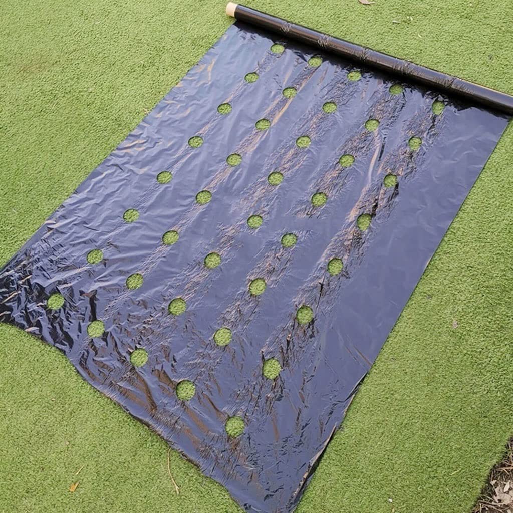 Folia PE, 0,02 mm 5 otworów Ciepła folia do uprawy, ściółka siewu Plastikowe perforowane folie PE(0.95x10m)