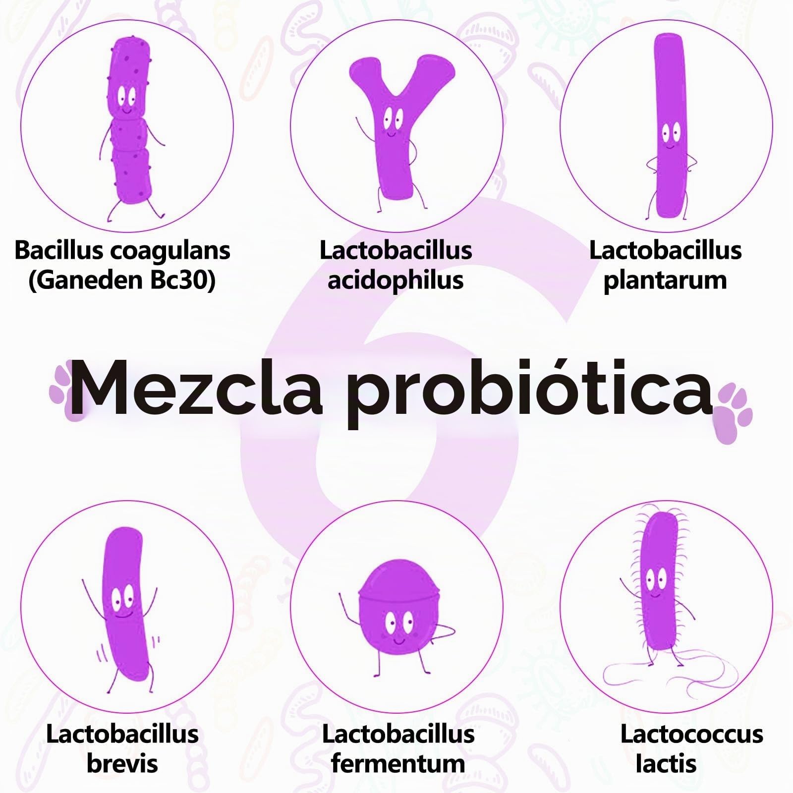 Multivitamínico 15 en 1 para perros - 150 snacks masticables con soporte para las articulaciones, salud digestiva, corazón, piel y pelo - Vitaminas para perros A, E, D3, B12 y minerales esenciales