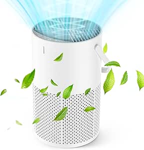 空気清浄機 小型 13畳 花粉 静音 集じん ホコリ ペット タバコ 除菌 カ Amazon.co.jp: 空気清浄機 小型 13畳/20畳 花粉 静音 集じん ホコリ