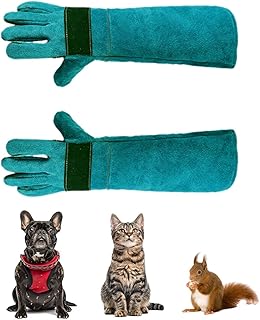 LNGJIN gants chat anti,35cm Anti-Morsure Gants de Protection, Gants Robustes pour Animaux,Cuir Gants de Travail Anti-Morsure,Pour le dressage et l'alimentation des animaux (vert foncé)