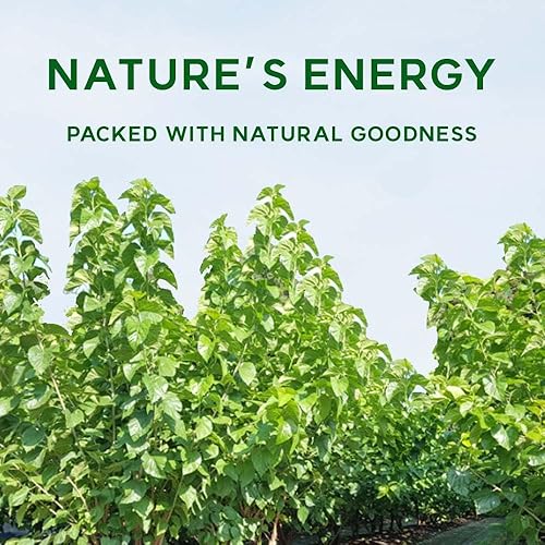 Miniatura 3 de Polvo de hoja de morera coreana  100% puro secado de Corea, ingrediente herbario para el té, polvo natural a base de plantas (10.6 onzas (10.58 oz),