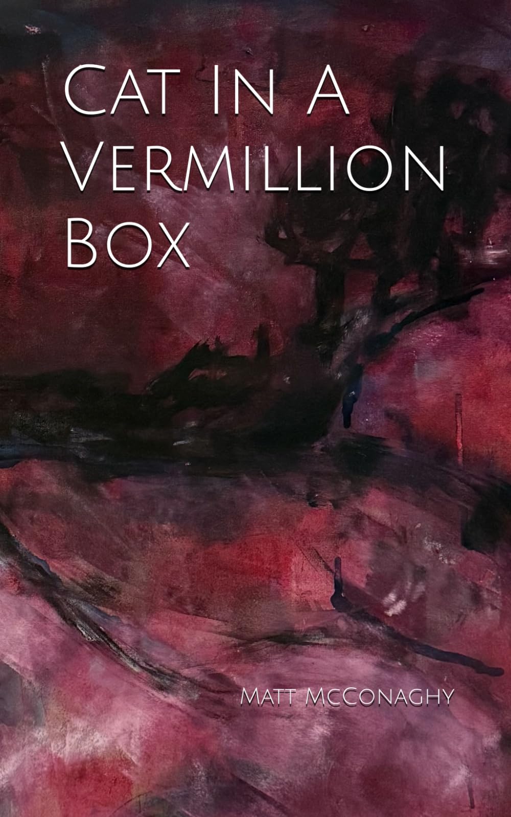Cat In A Vermillion Box