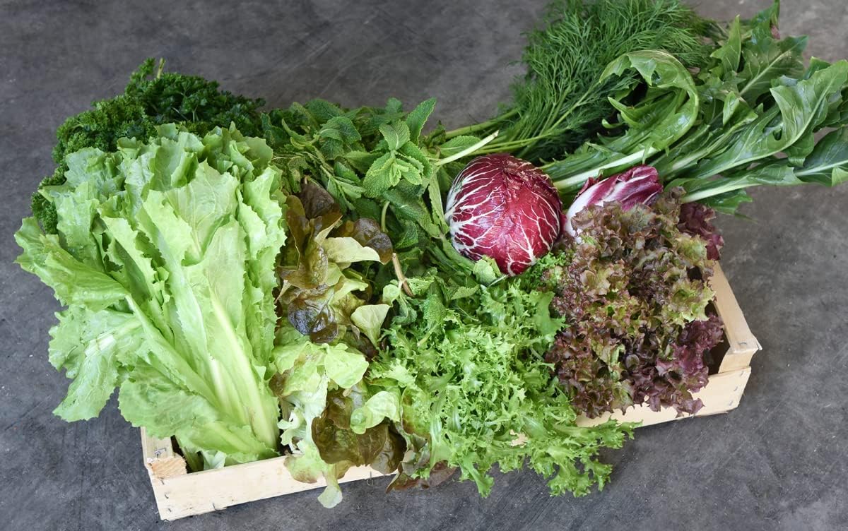 Fresh Box Salat & Kräuter 3 kg grünhopper Kaninchenbox