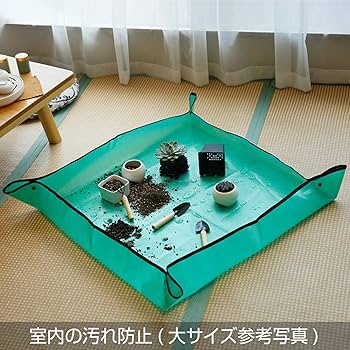 ブランテリア FLAT10 PEARL WHITE × SILVER TRUE VIEW - OZNIS