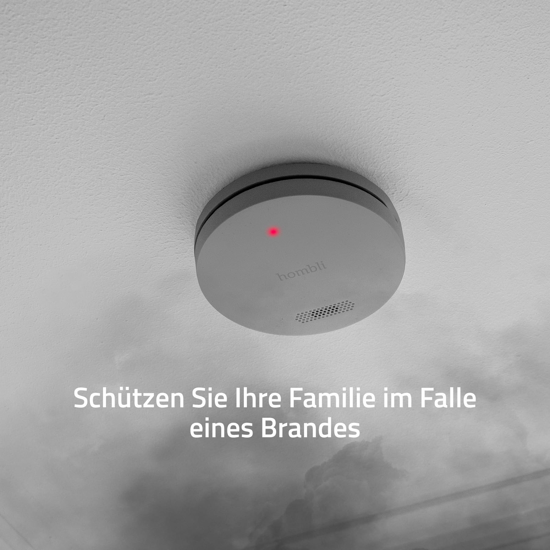Hombli Rauchwarnmelder, 85 dB Alarm, 10 Jahren Batterielaufzeit, Grau