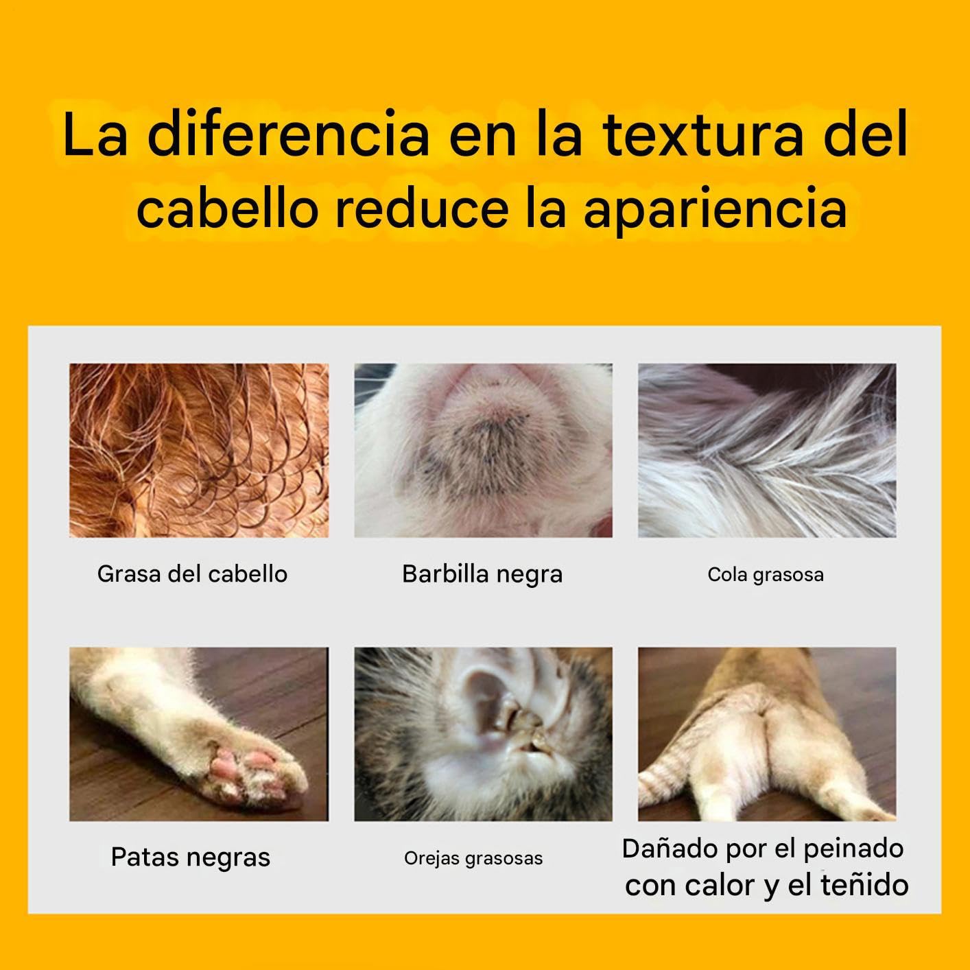 Champú para Gatos Sin Pelo | Crema Limpiadora Desengrasante para Mascotas | Champú Hidratante en Crema 500G para Rutina Diaria de Baño de Cola Higiene Oídos Aseo Mascotas