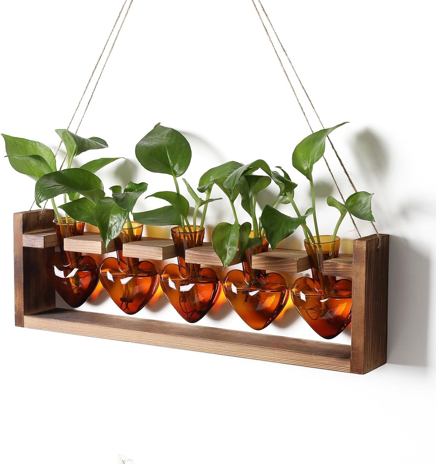 Plant Terrarium Hanging Propagation Stations Gift for Women Air Plants Holder with Wooden Stand Heart Glass