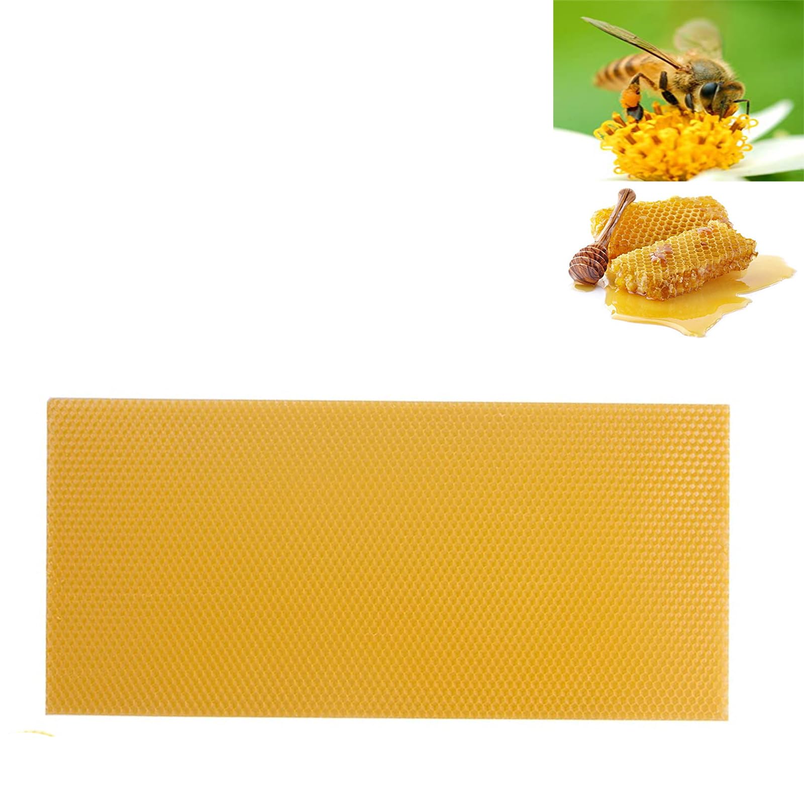 ZffXH 30 piezas de de cera de panal, láminas de base for colmenas, base de apicultura, equipo for colmena de miel, suministros for abejas, base de cera, panal de abeja