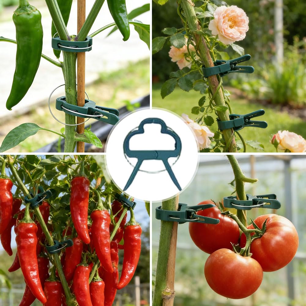 100 Pieces Clips Tomate Clips pour Plantes, Attache Tomates Clips Réutilisable, Attache Tomate, Attache Plante, Attaches de Plantes pour Tomates, Concombres, Roses