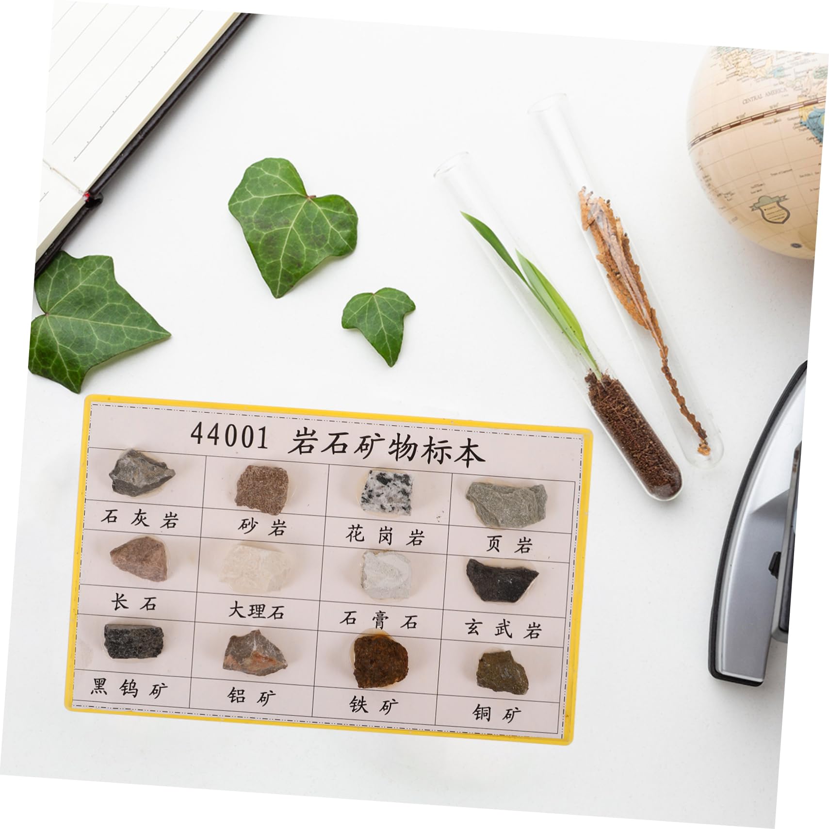 NAMOARLY 12 Pcs Rock Specimen Set Mineral Rock Specimen for Geology Classroom Display Mineral Rock Specimen Rock Specimen for Laboratory Rock Specimen for Collection Rock Collection Plastic