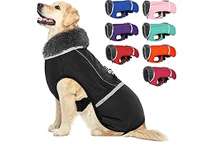 QBLEEV Warm Dog Coat: Ultimate Protection and Comfort for Large Canines