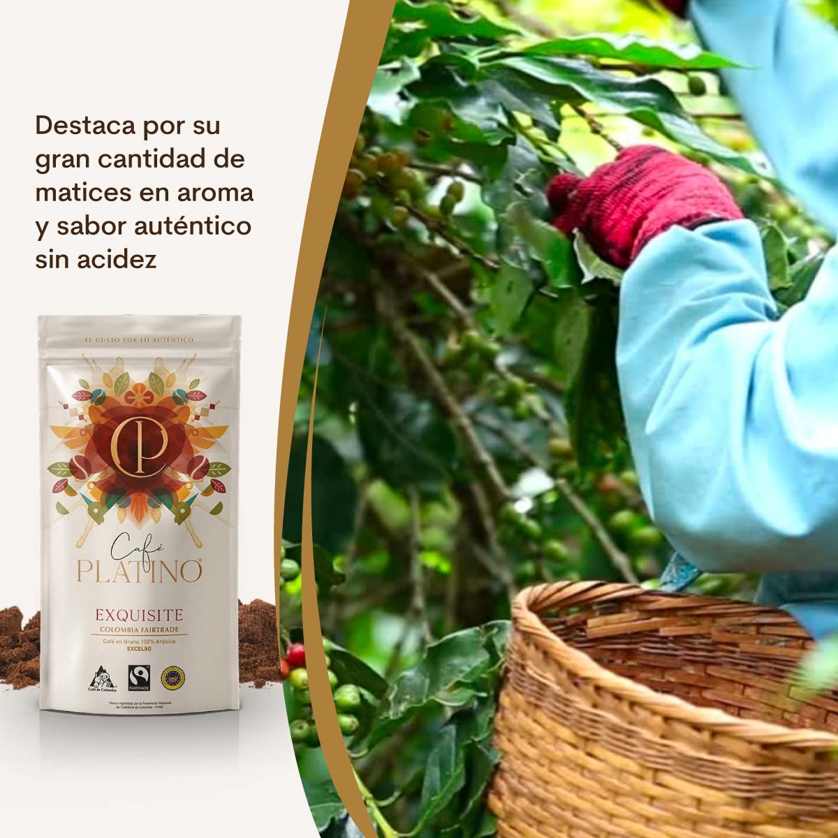 Café Platino Exquisite - Pack 2 sobres de 250g - Café Molido de Colombia Excelso Tostado - 100% Arábica - Fairtrade