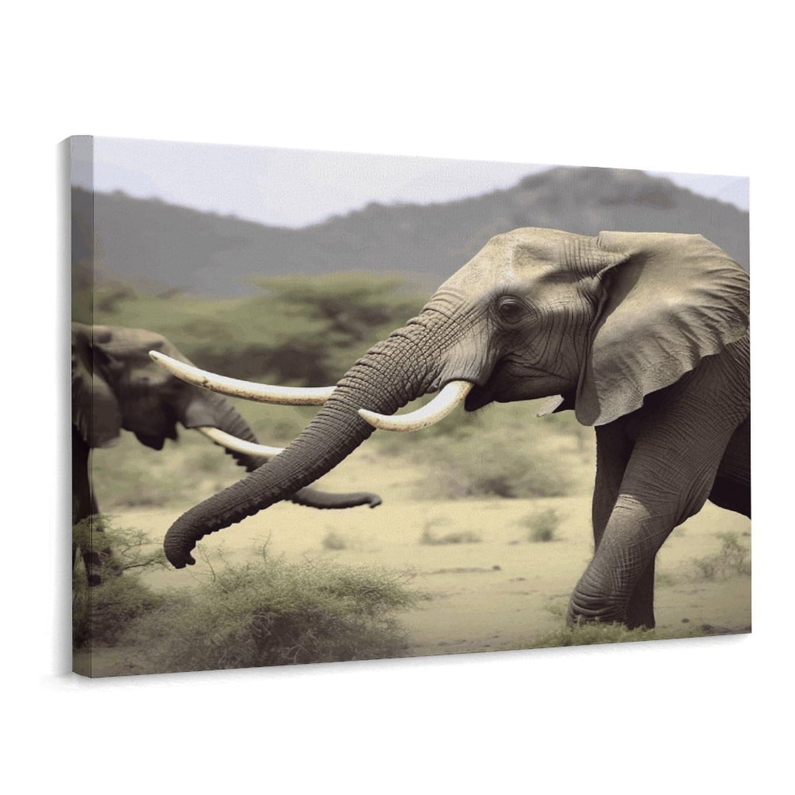 Fodpand Frame-Style Elephants Animals Bathroom Wall Art Canvas Prints, Artwork For Walls For Living Room Hallway Stair Office Wall Decor, Pictures Home Decor 15.7X11.8 Inch