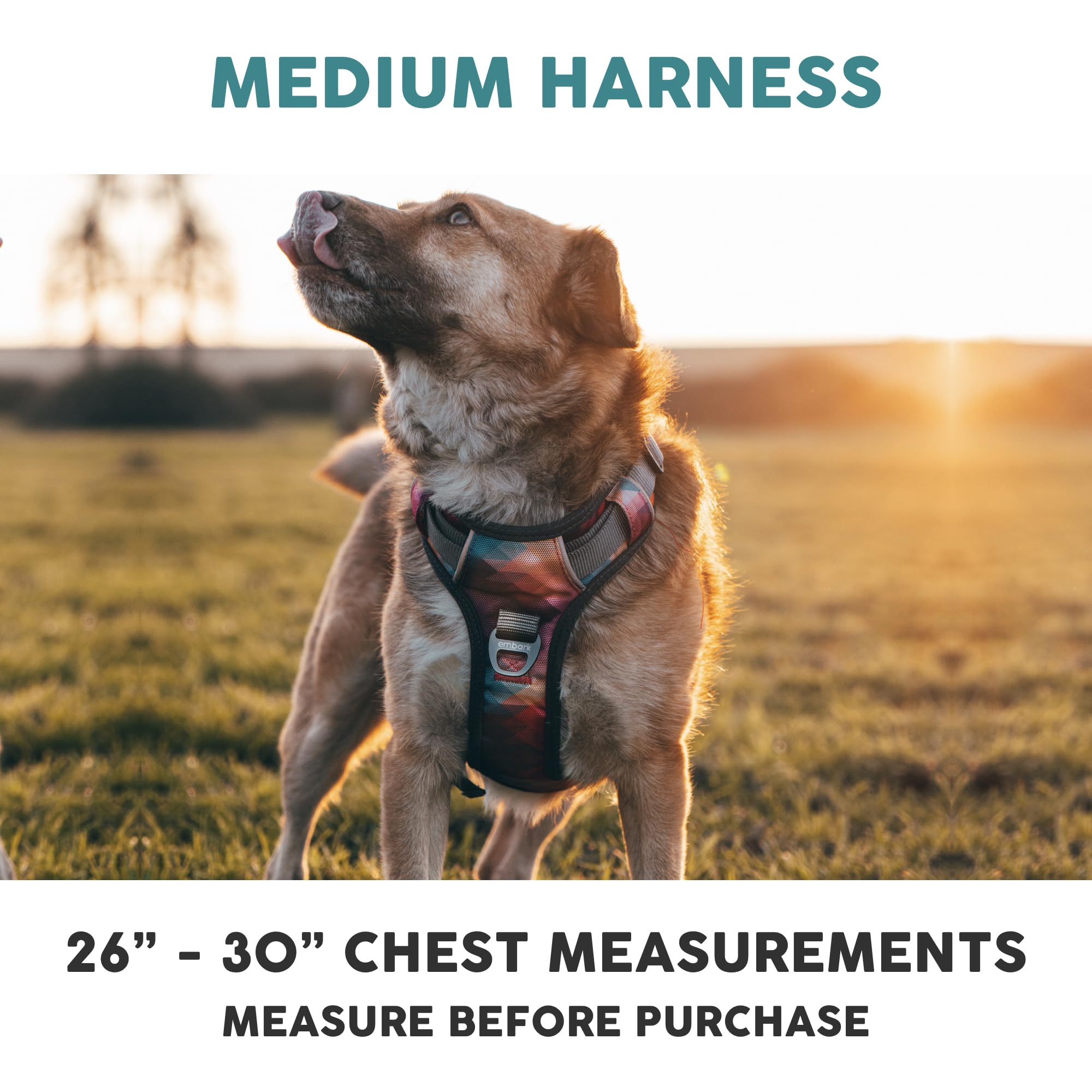 Embark Adventure No Pull Dog Harness, Reflective Trim No Pull Harness for Medium Sized Dog - Military Grade Nylon, Front Clip with Gel Lined Handle. Soft & Padded Puppy