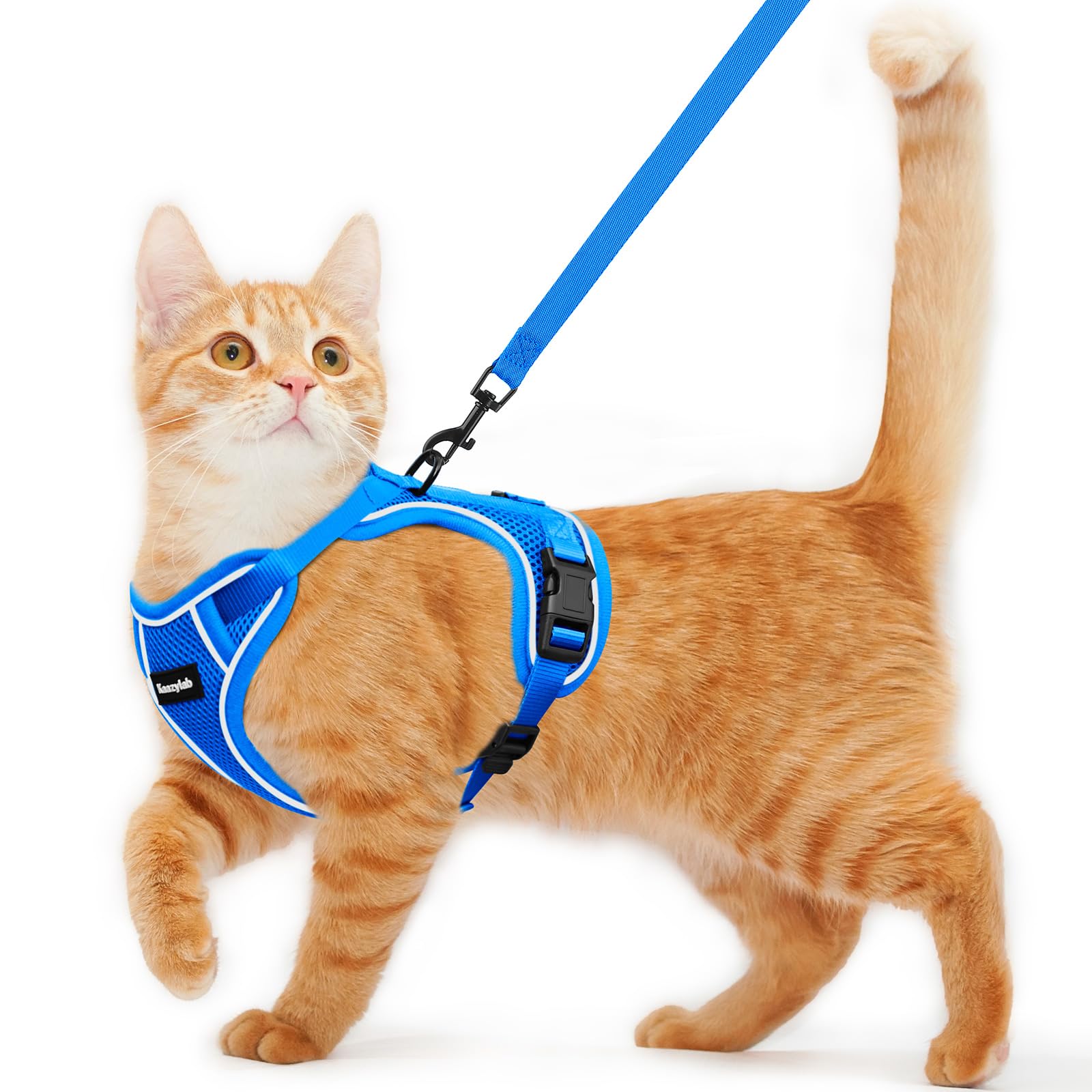 Kaazylab Cat Harness and Leash for Walking, Escape Proof, Adjustable, Comfortable Soft Vest, Easy to Wear Kitten Harness with Reflective Strip for