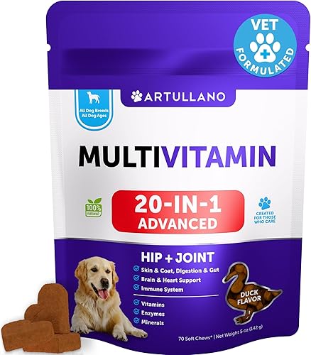 Multivitamínico 20 en 1 para perros con glucosamina, vitaminas y suplementos masticables para perros, masticables multivitamínicos para adultos