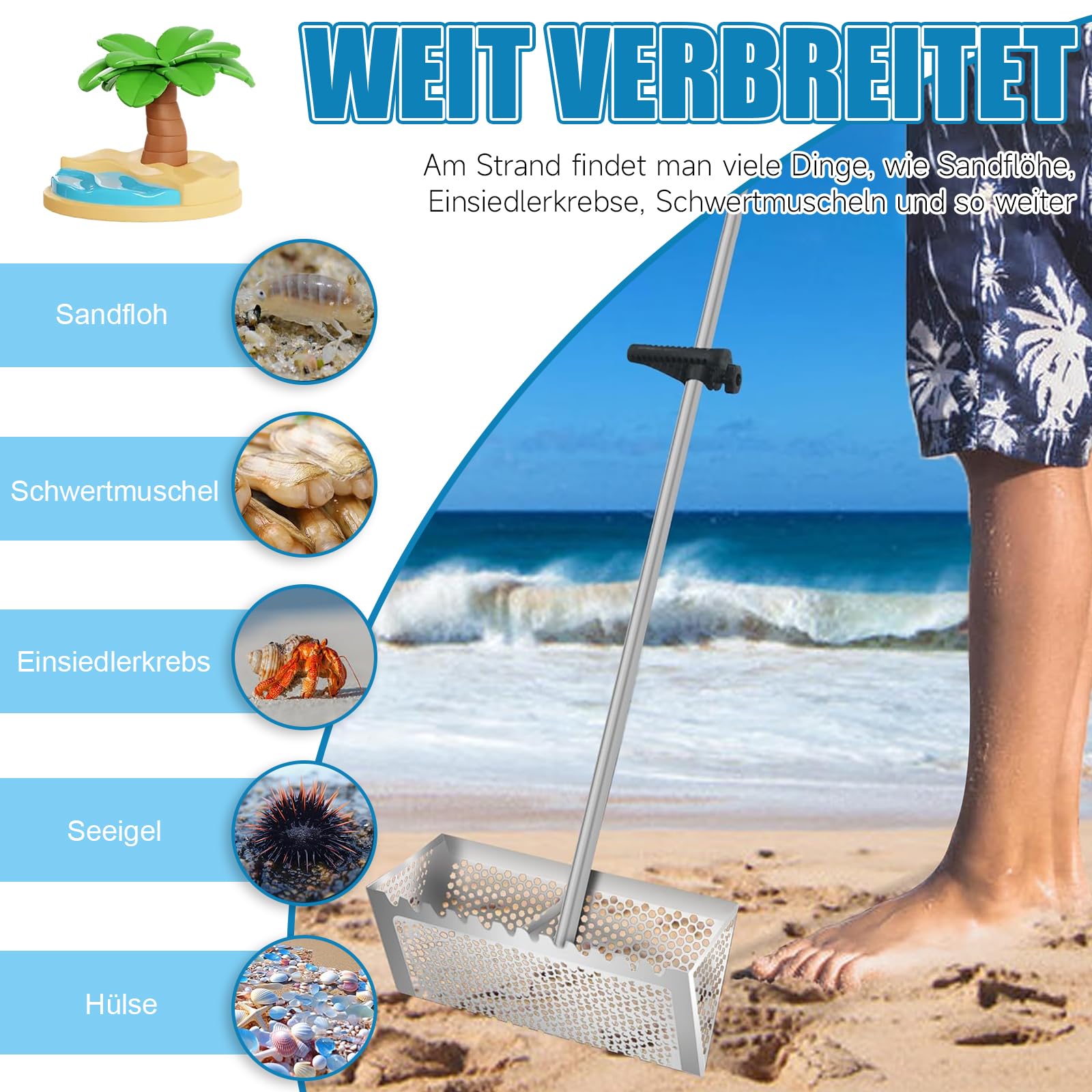 Sandflohharke Groß Edelstahl Strandsand Sieb Mit 138 cm Langem Stiel und 40 X 18 cm GroßEm Korb, Abnehmbares Strandsieb Zum Strandangeln und Auffangen des Meeres