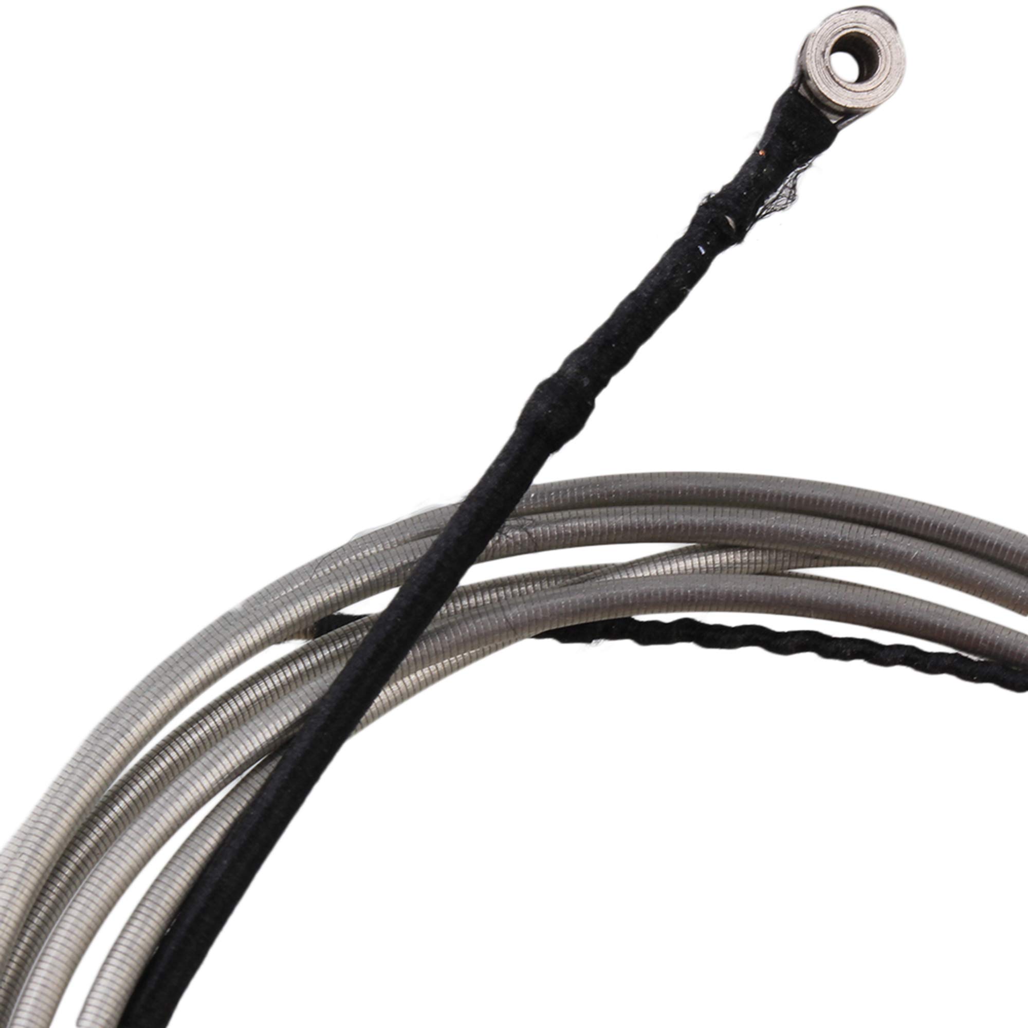 Amazon.com: Nylon Cello Strings Warm Sound Suitable for