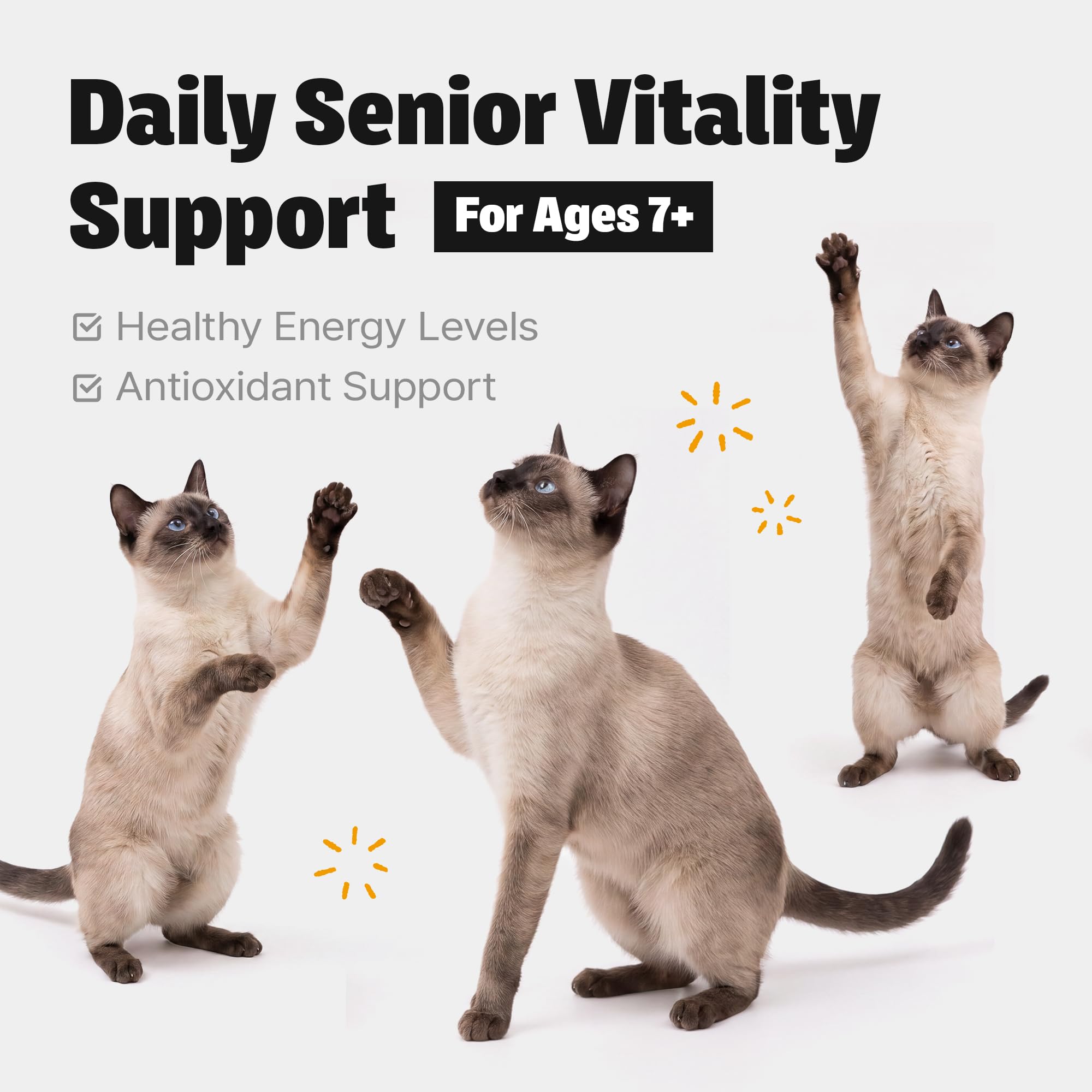 Kidney Support for Senior Cats, Lickable Kidney Health & Vitality, 30 Tubes — Amazon image 4