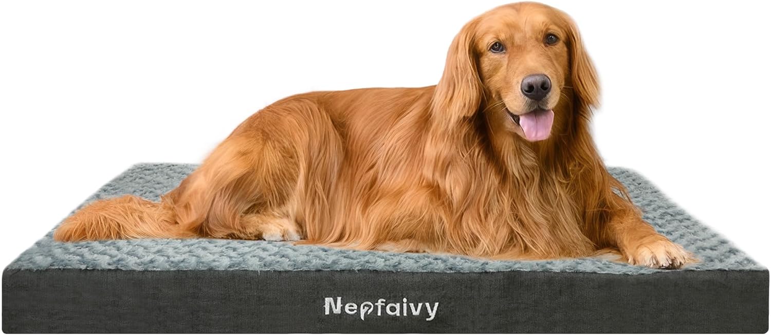 Nepfaivy Dog Bed Large XL Waterproof Orthopedic Memory Foam Extra