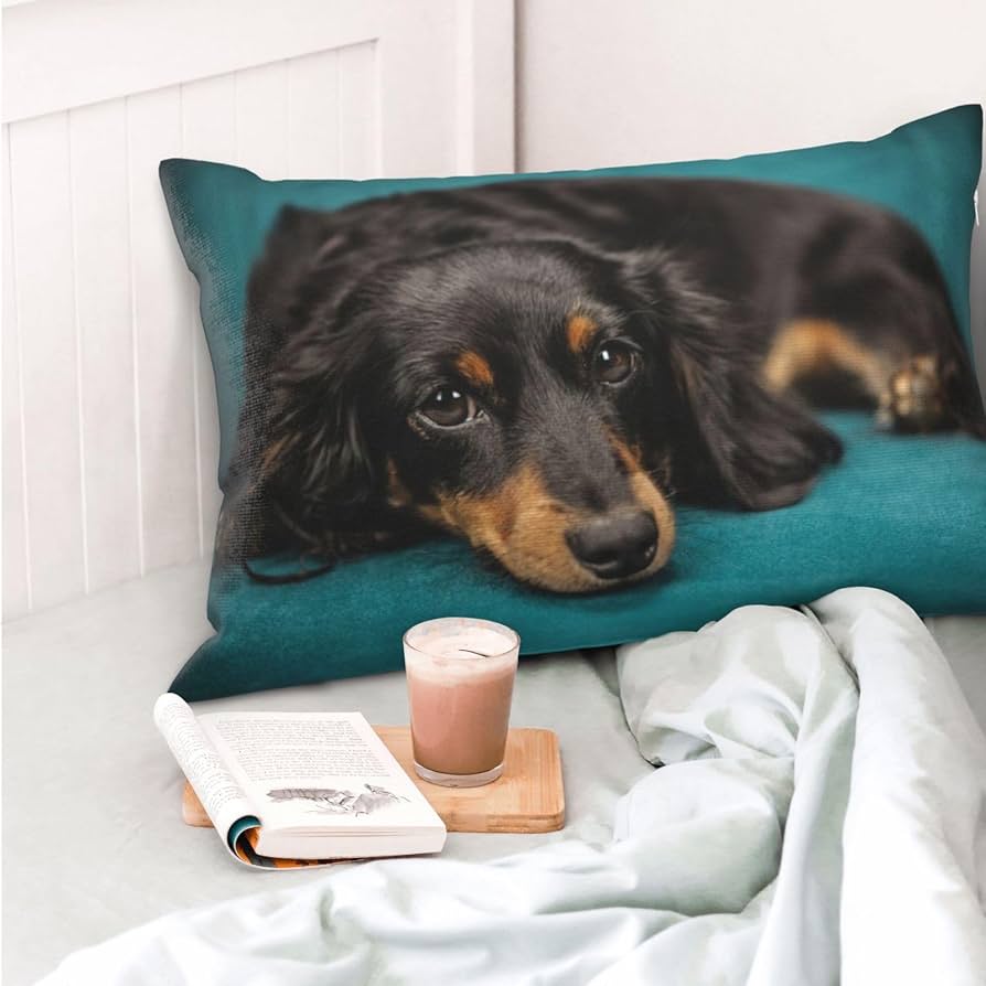 Amazon.co.jp: ソファーの上でくつろぐ ダックスフンド 犬 枕カバー Amazon.co.jp: ソファーの上でくつろぐ ダックスフンド 犬 枕カバー