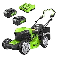 Greenworks 48V (24V x 2)