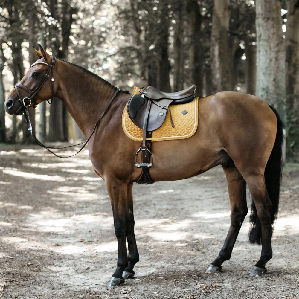 Tapis De Selle GP Velours Noir – Premier Equine – Doublure Laine – NEUF