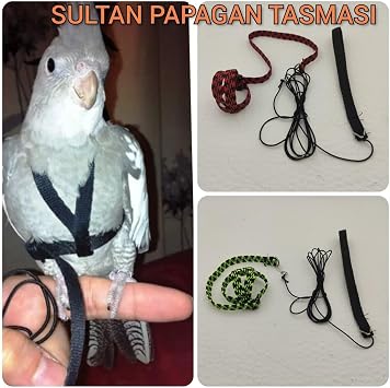 Sultan Papa an  Tasmas   zel Patentli Ku u Koruyan Tasar m