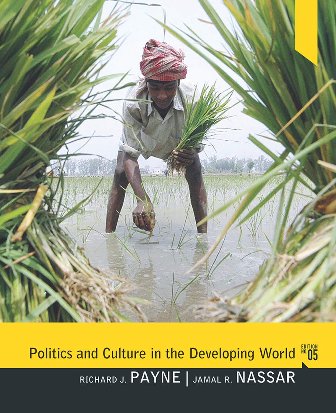 Politics and Culture in the Developing World: Instructor's Resource Manual