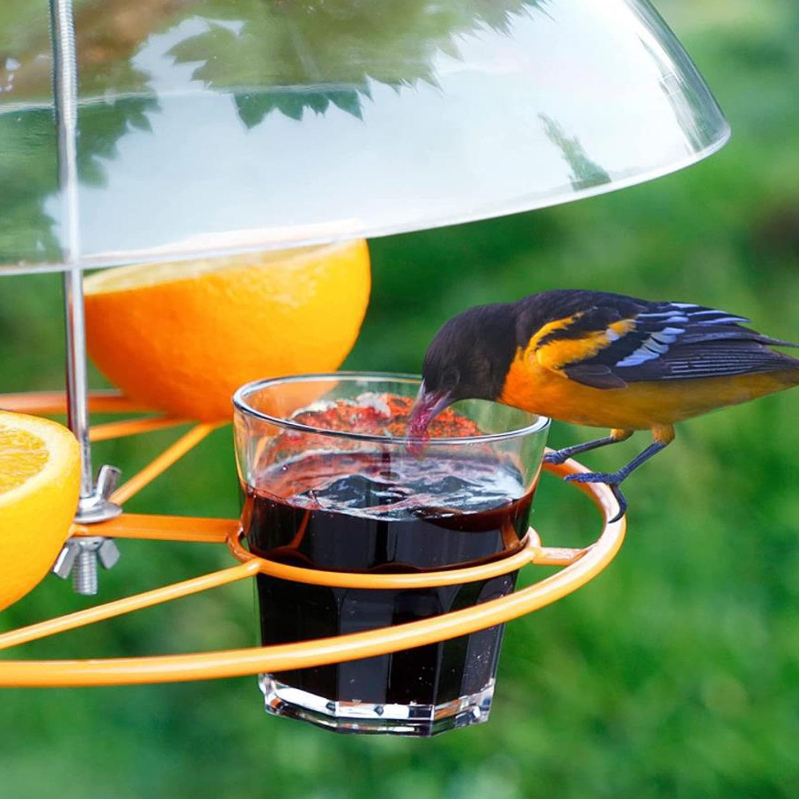 Dome protezione da scoiattolo a cupola protettiva per mangiatoie per uccelli selvatici copri a cupola chiara per gli accessori per alimentari da colibrì appesi all'aperto accessori