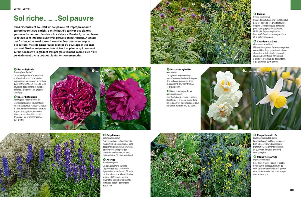 Toutes les plantes - Pour toutes les envies et toutes les situations