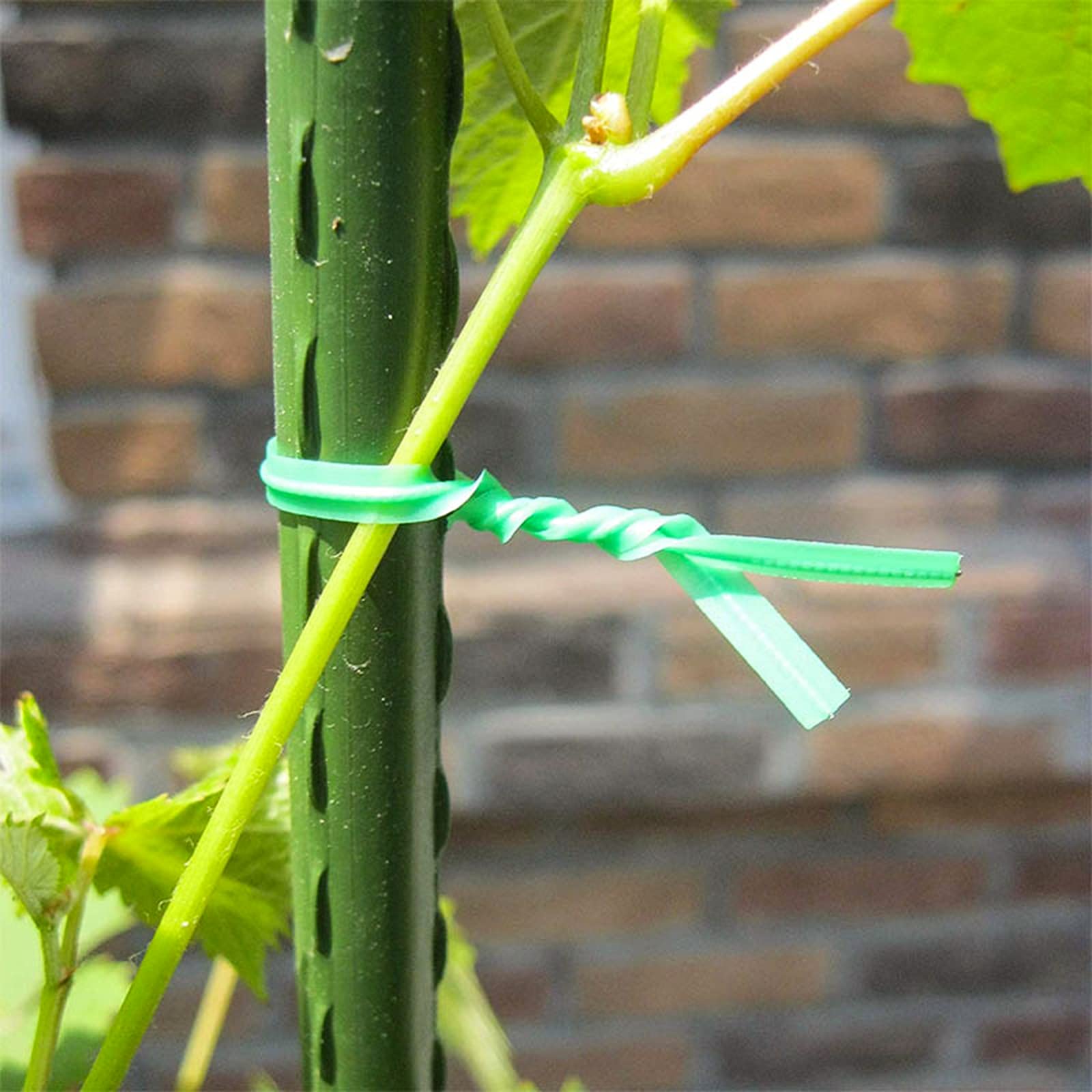 Cravatte a per piante, legami per piante rampicanti, legami da