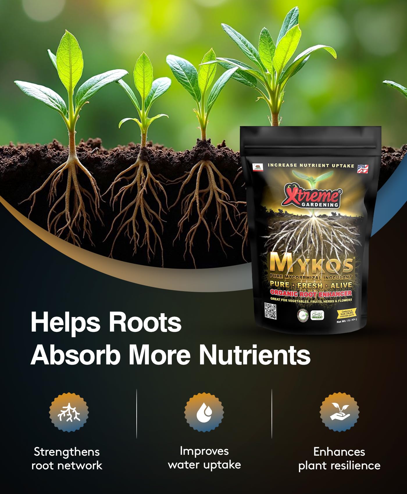 Amazon.com : Xtreme Gardening Azos + Mykos Deluxe Bundle - Azos