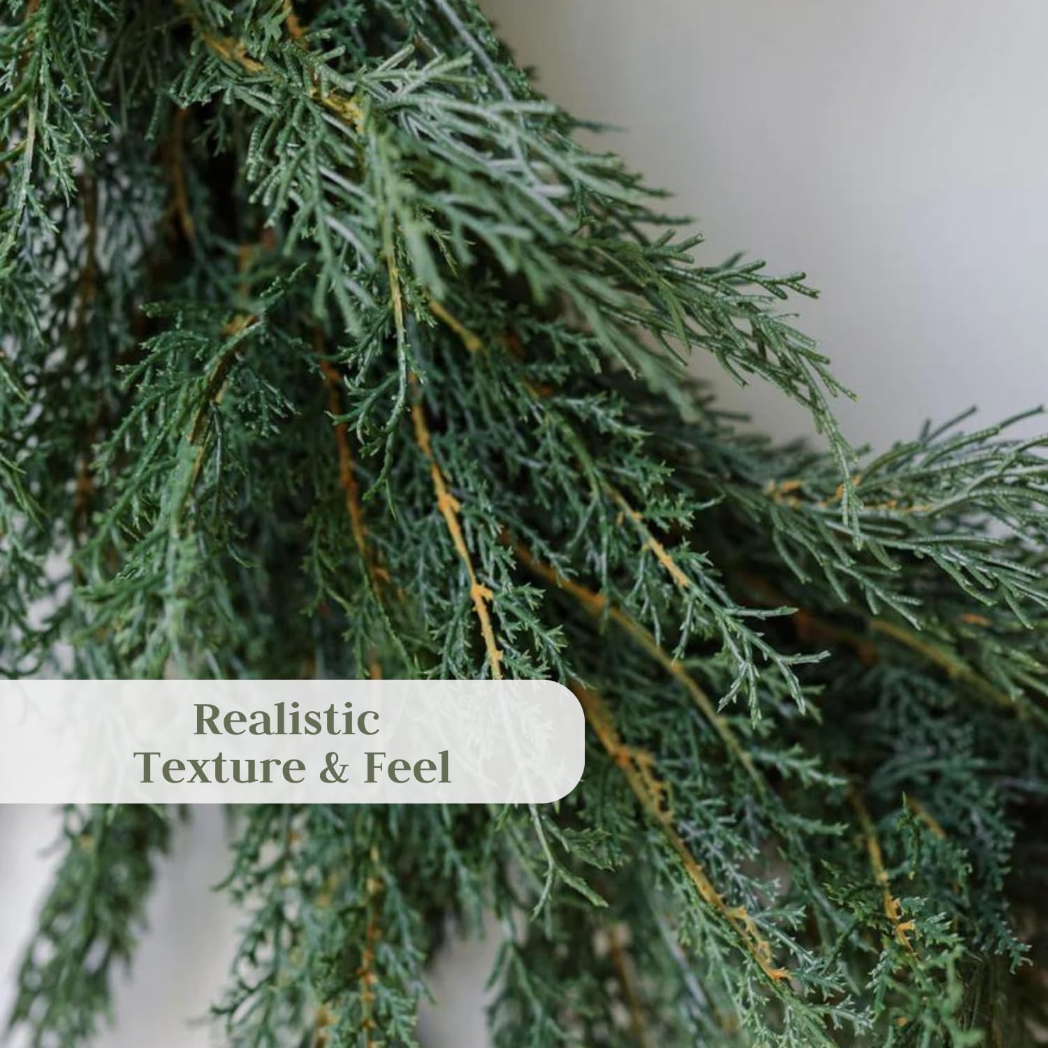 Amazon.co.jp: CG Hunter ホリデーコレクション シダーリース