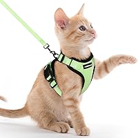 Vista 208 de rabbitgoo Arnés y correa para caminar, a prueba de escapes, chaleco suave y ajustable para gatos, fácil de controlar, transpirable, tiras